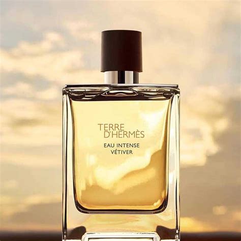 hermes terre eau intense vetiver erkek edp100ml|hermes intense vetiver.